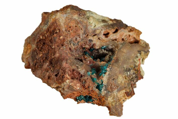 Dioptase Crystals on Rock - Namibia #126934